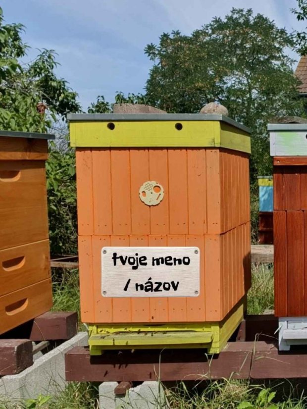 Adopcia včelieho úľa