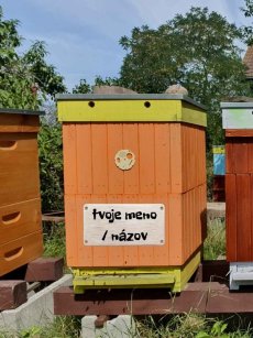 Adopcia včelieho úľa